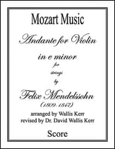 Andante for Violin in e minor Orchestra sheet music cover